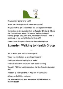Lumsden Walk Group Flyer